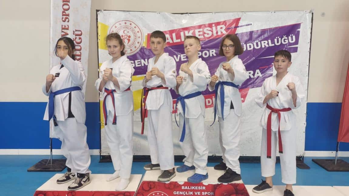 Taekwondo'da Karahallılar Başarısı