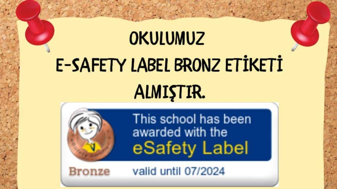 E-Safety Label Bronz Etiketi Aldık